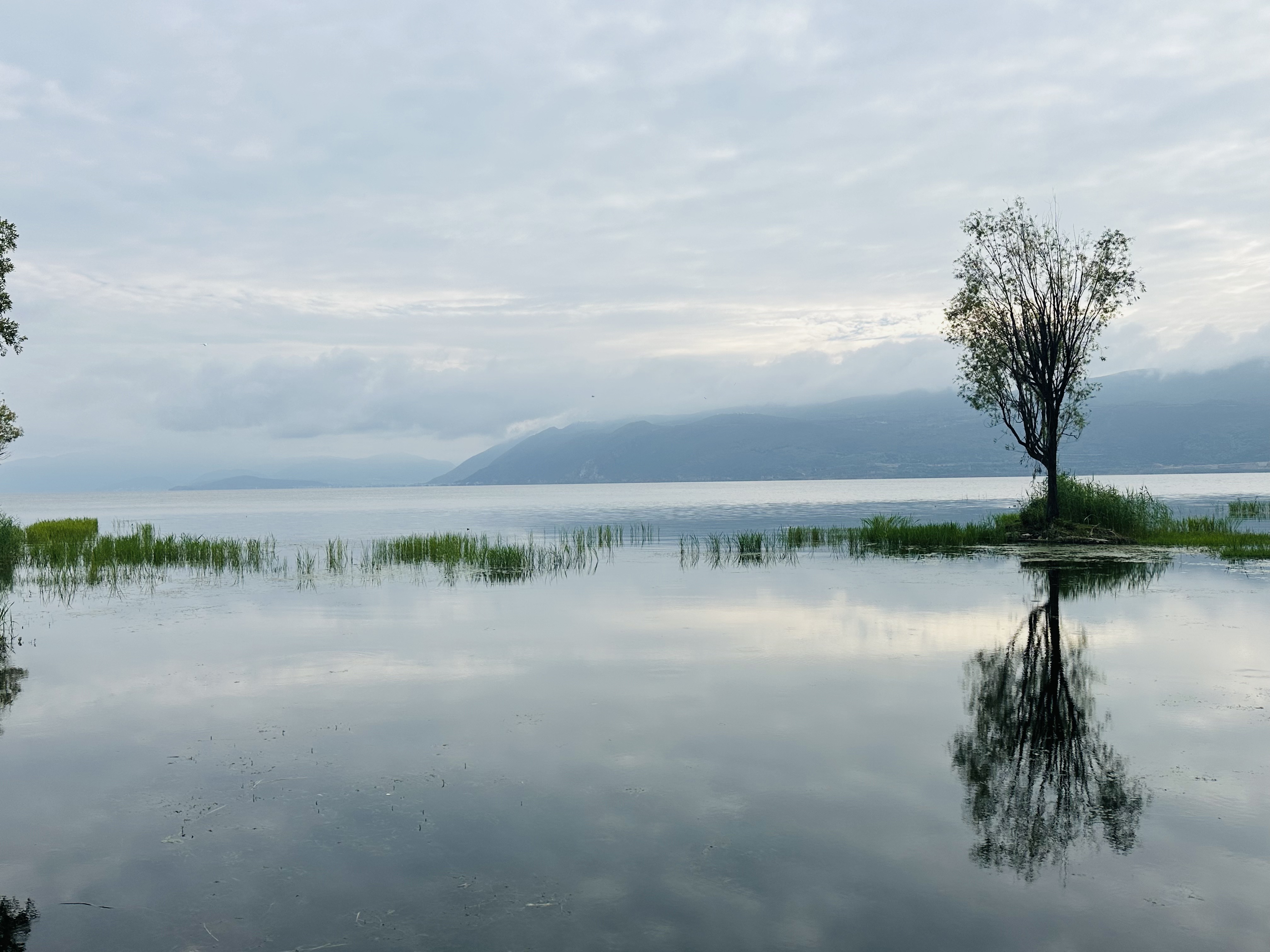 Paisajes diversos de Yunnan con montañas, lagos y terrazas