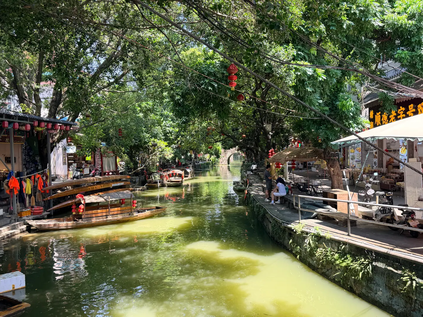 Canal de la aldea de Fengjian con barcas, árboles centenarios y casas tradicionales