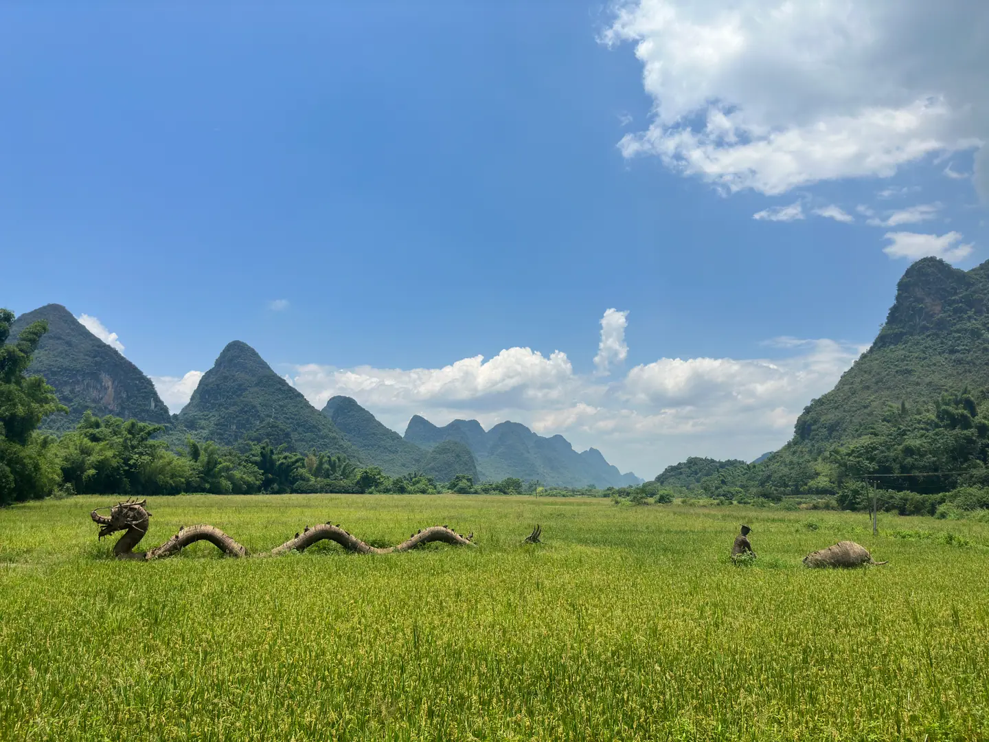 Campos de arroz verdes con picos kársticos al fondo en el valle del río Yulong, Yangshuo