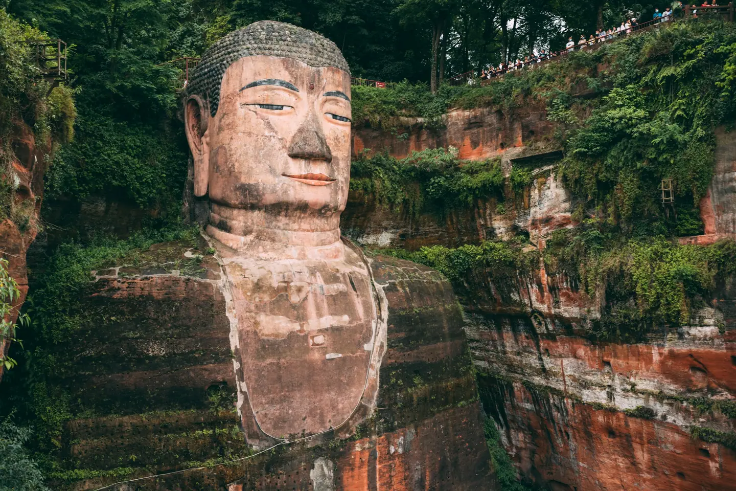 El rostro del Buda gigante de Leshan, tallado en el acantilado entre la vegetación