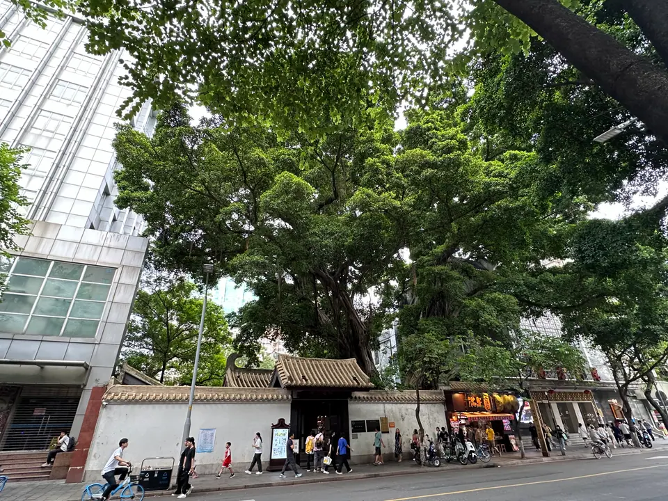 Calle del centro histórico de Cantón con grandes árboles y una puerta tradicional