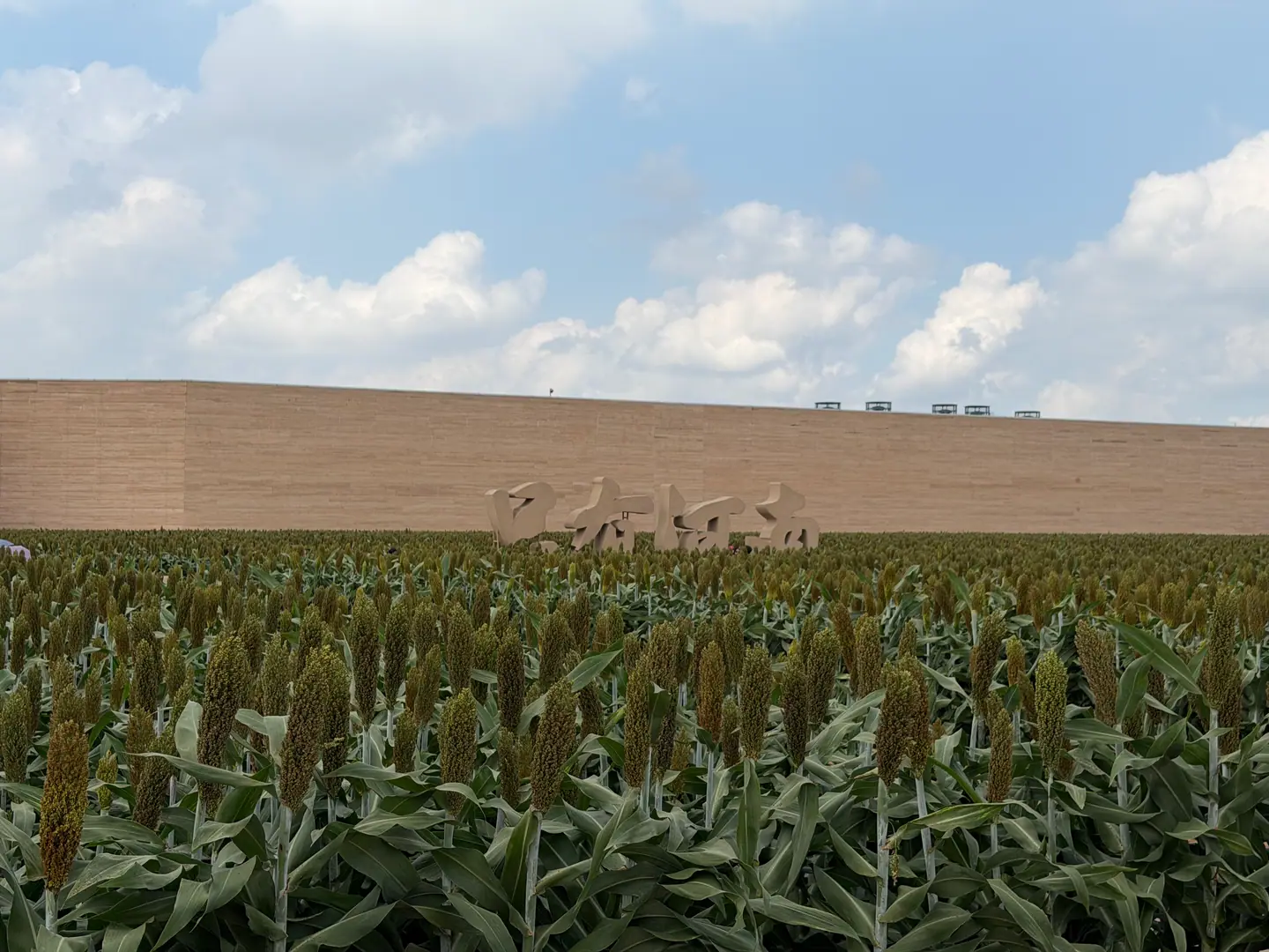 Campo de sorgo frente a un largo muro de tierra en el parque teatral Only Henan