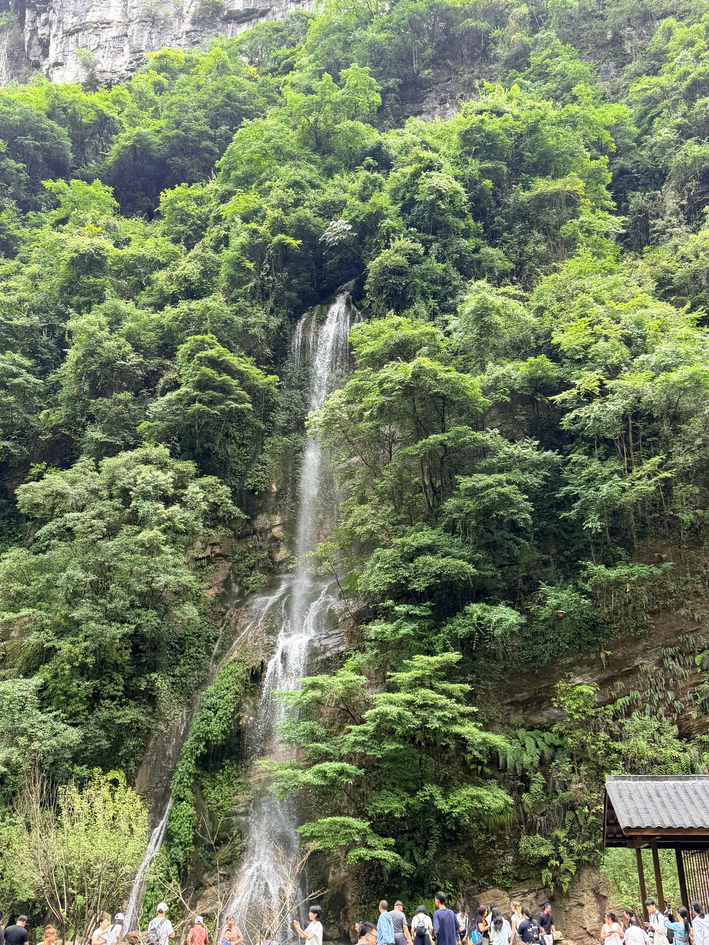 Cascada que cae entre la vegetación del fondo del valle en Wulong