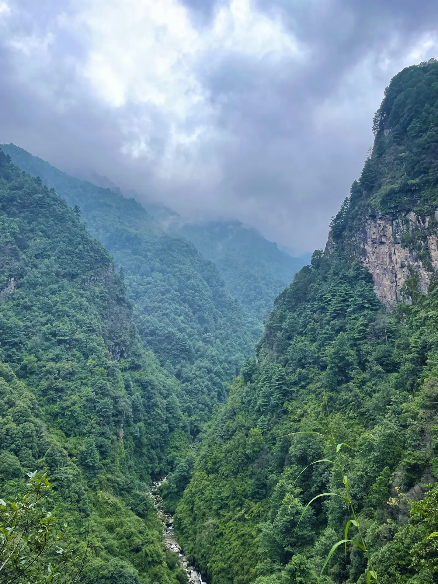 Garganta profunda y frondosa en la montaña Cangshan sobre Dali, Yunnan