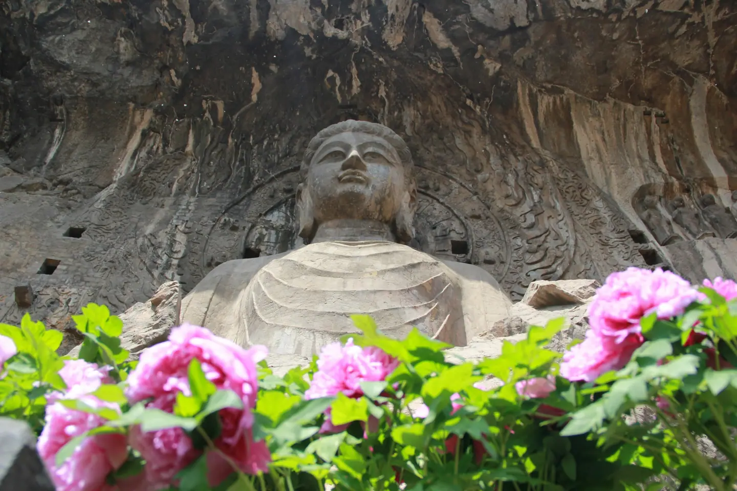 Gran Buda tallado en el acantilado de las grutas de Longmen, con peonías rosas en primer plano