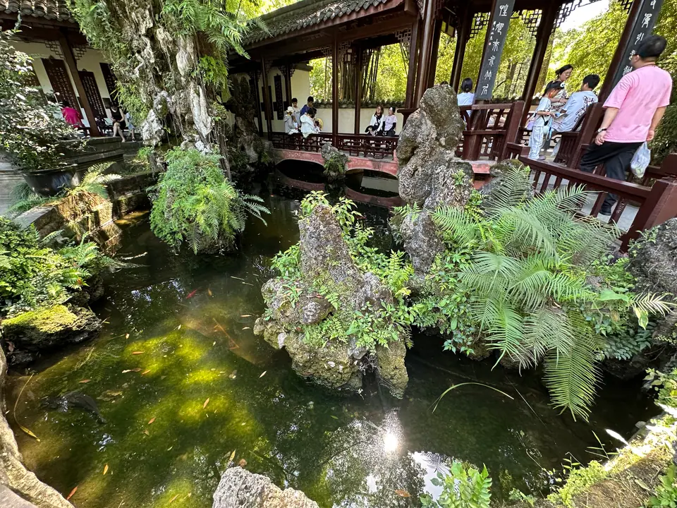 Jardín con estanque, helechos y rocas junto a una galería de madera en Chengdu