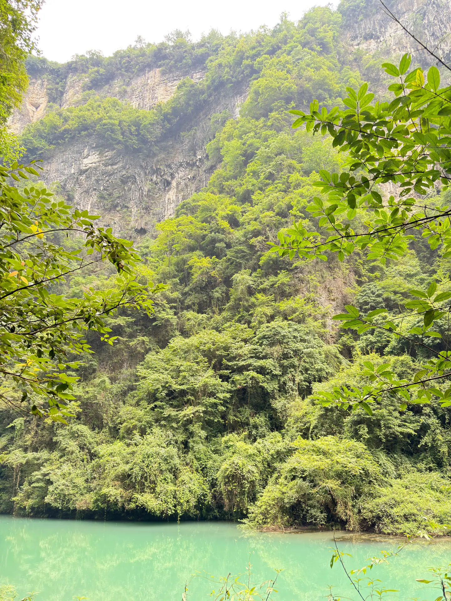 Aguas verde esmeralda rodeadas de vegetación en el Gran Cañón de Zhangjiajie