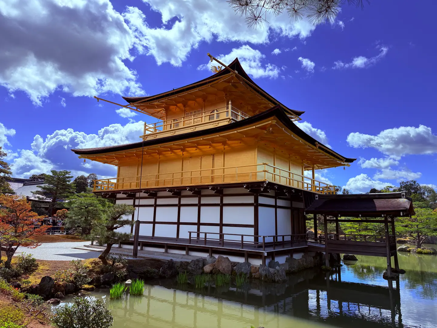 Pabellón Dorado de Kinkaku-ji junto al estanque bajo un cielo azul con nubes blancas, Kioto