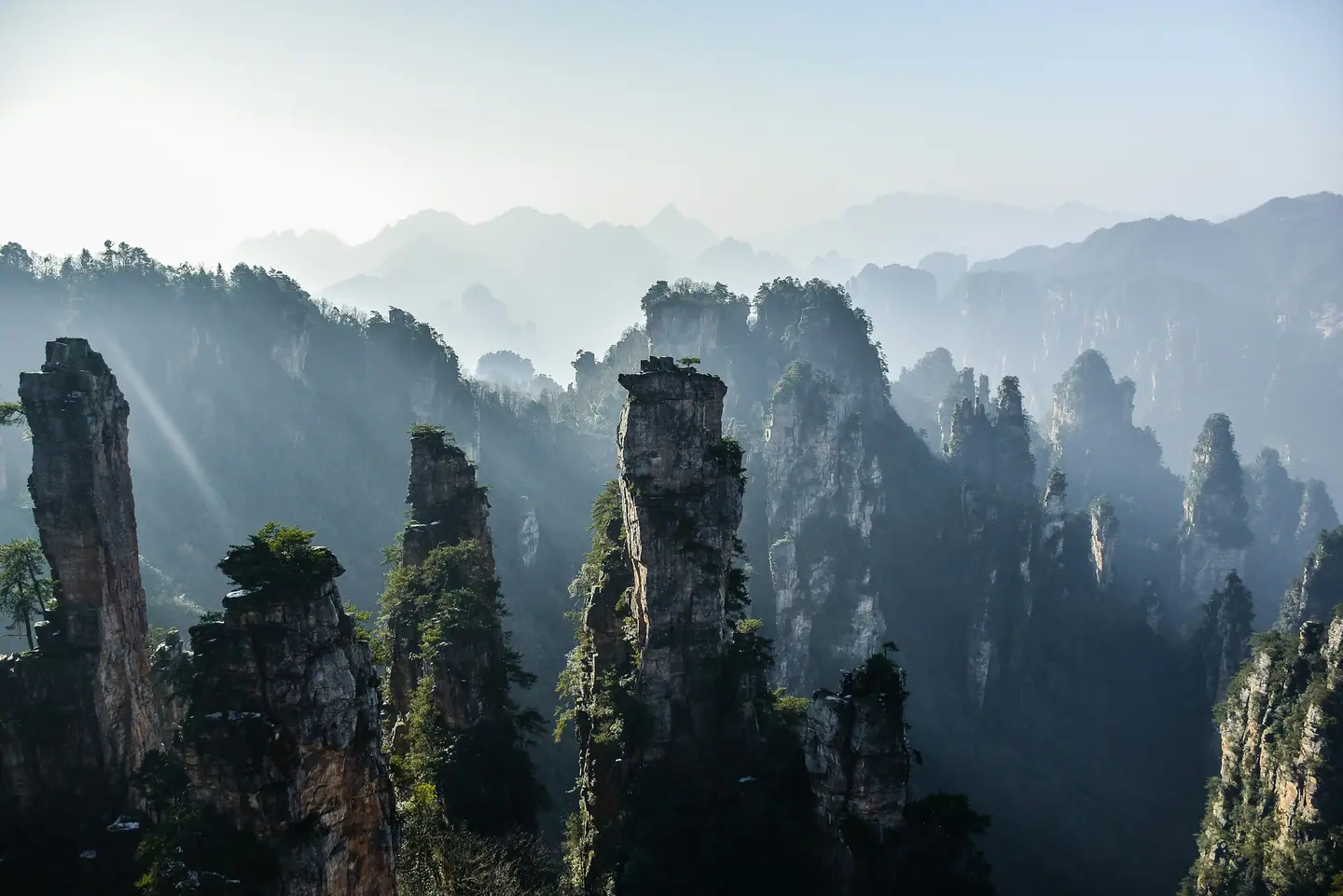 Pilares de arenisca entre la bruma en el Parque Forestal Nacional de Zhangjiajie