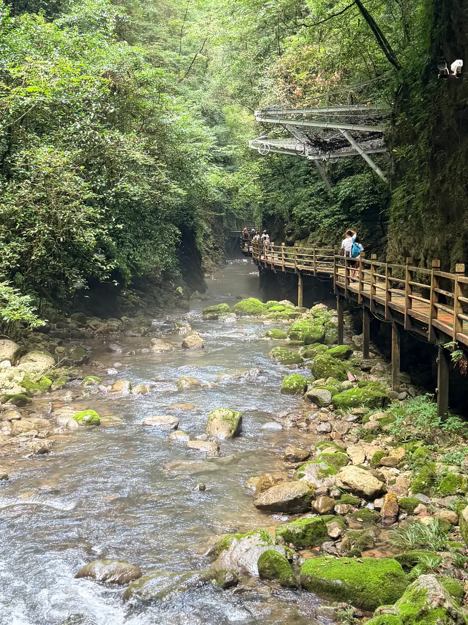 Pasarela de madera junto a un río de montaña en el Gran Cañón de Zhangjiajie