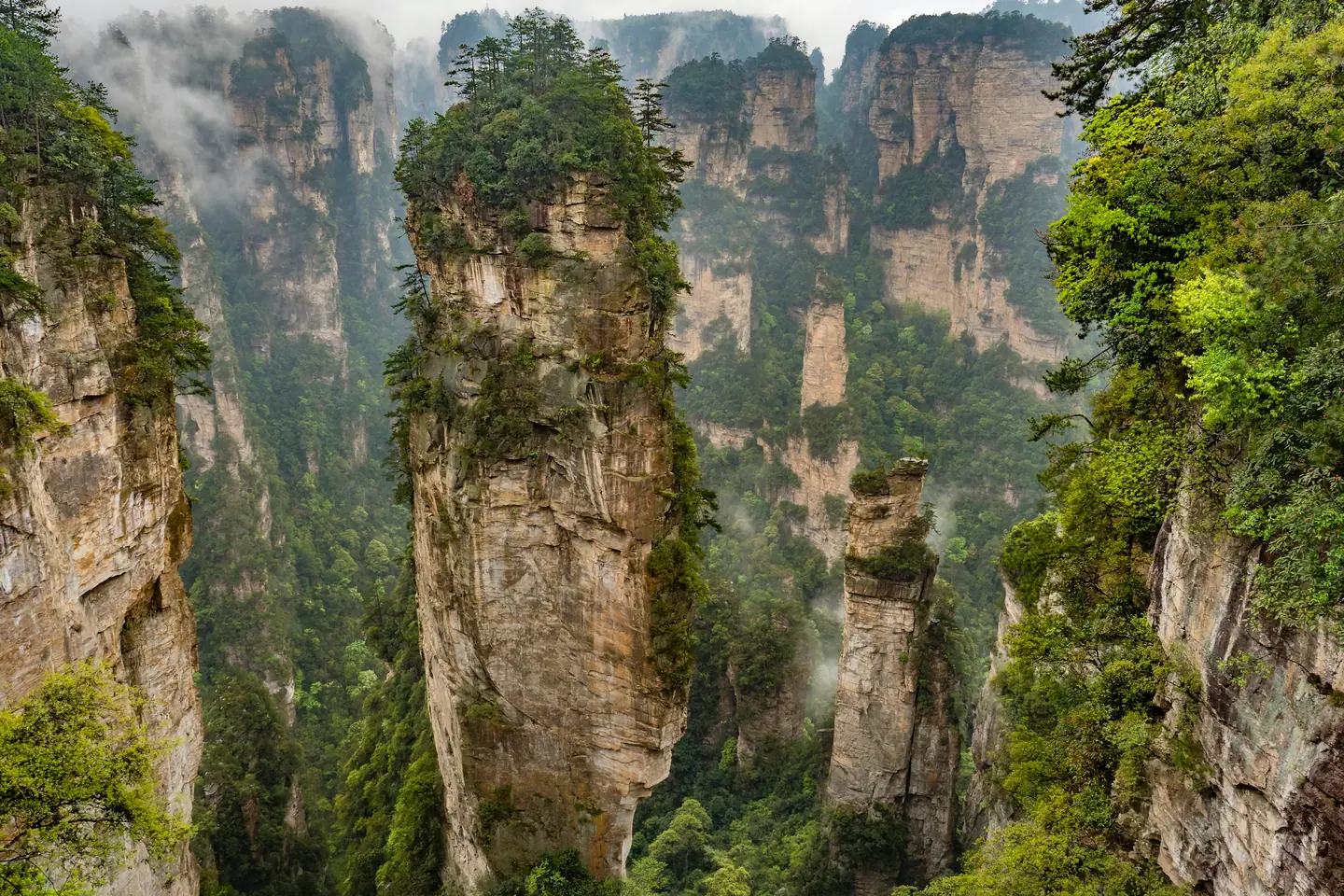 Pilar de arenisca cubierto de vegetación entre otras torres de roca en Wulingyuan