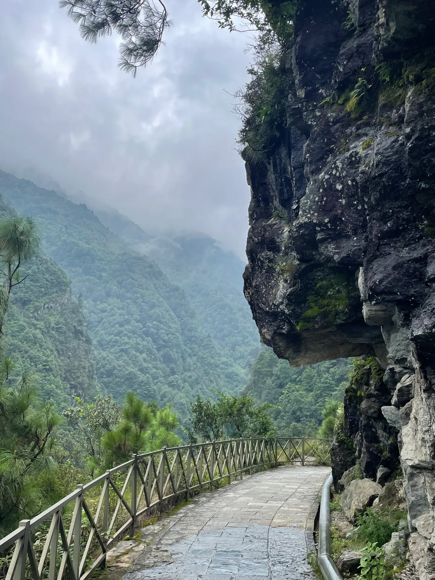 Sendero con barandilla junto a un acantilado sobre un valle neblinoso en la montaña Cangshan, Dali