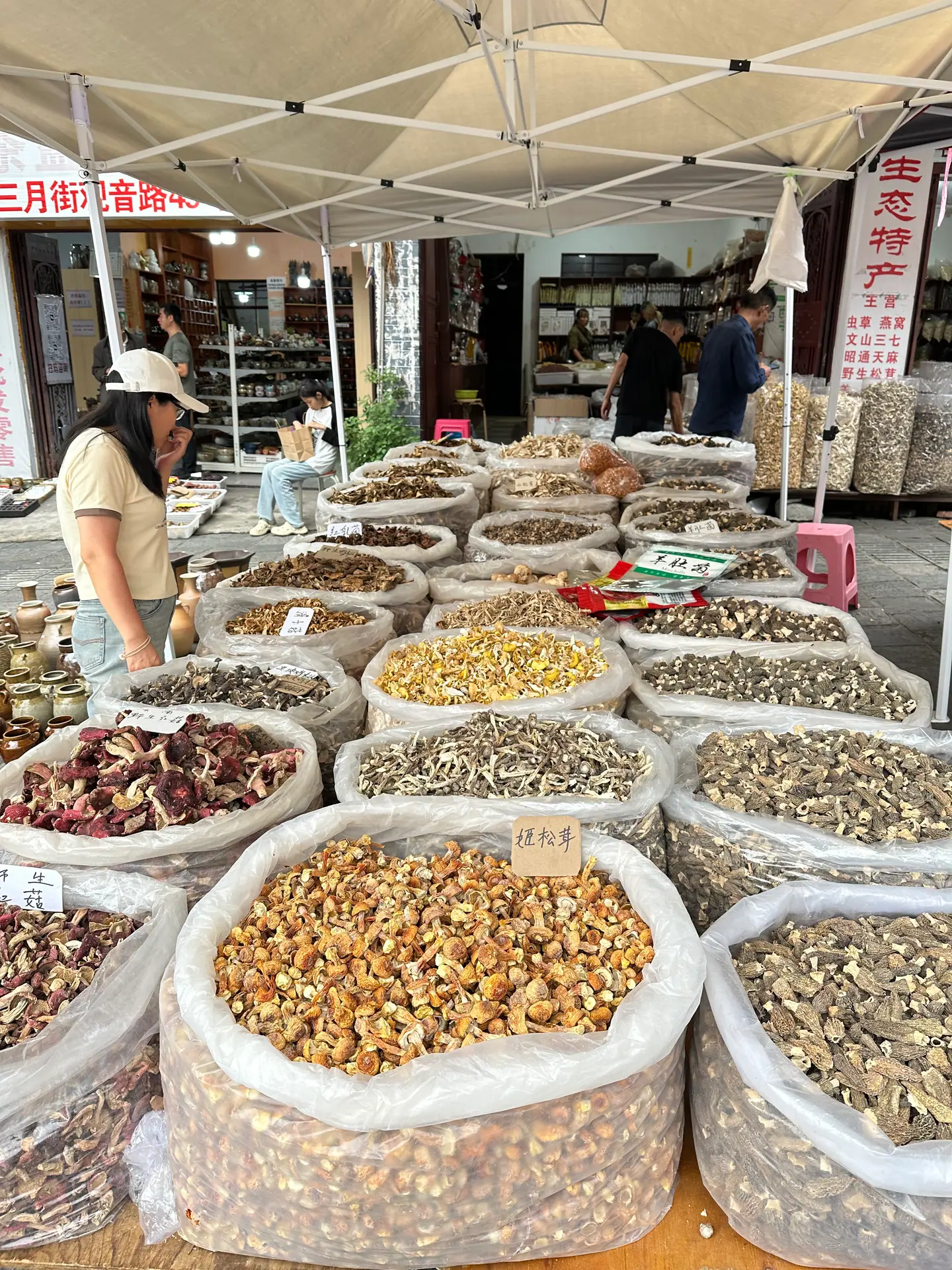 Sacos de setas silvestres secas en un mercado tradicional de Dali, Yunnan