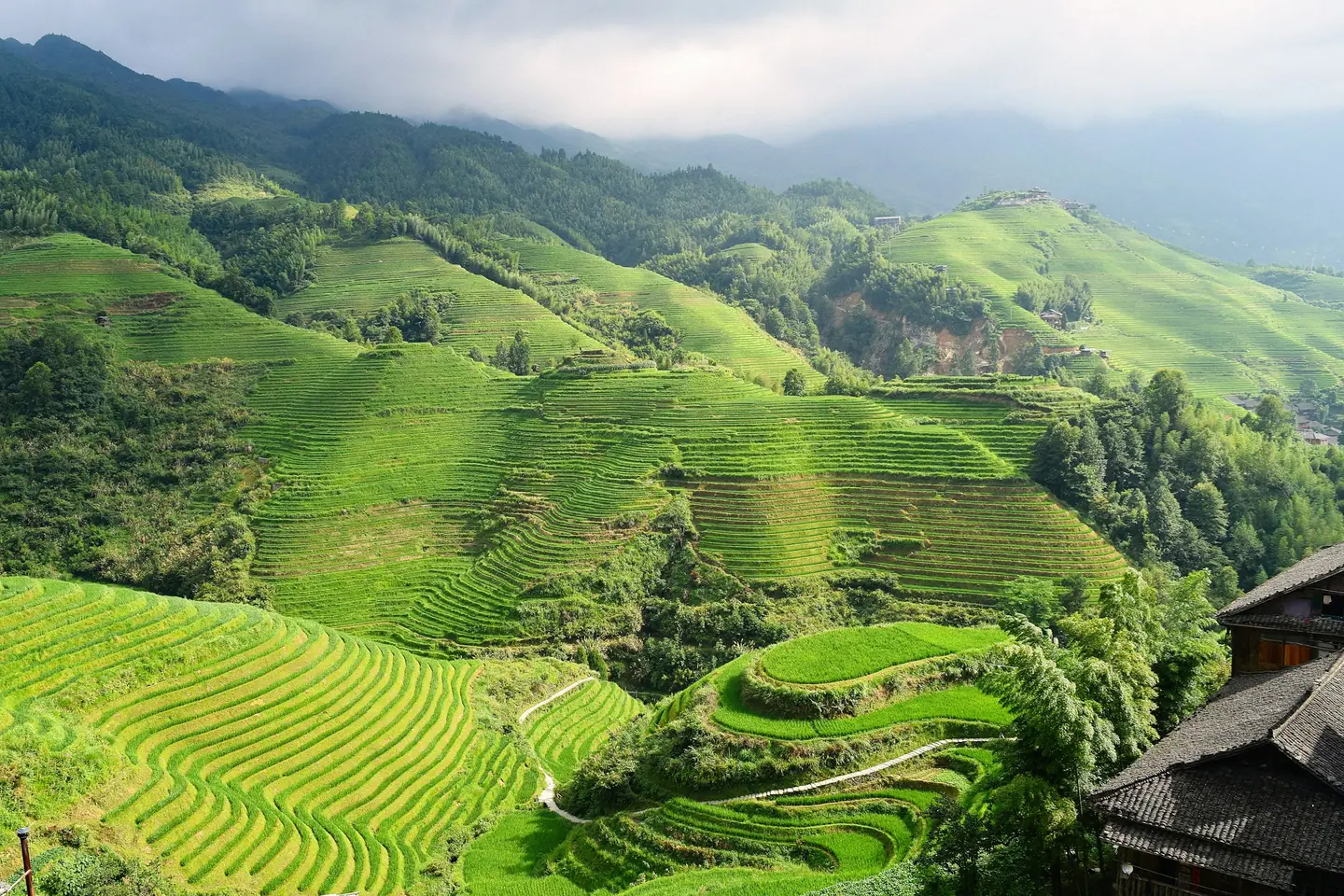 Laderas cubiertas de terrazas de arroz verdes en las montañas de Guilin