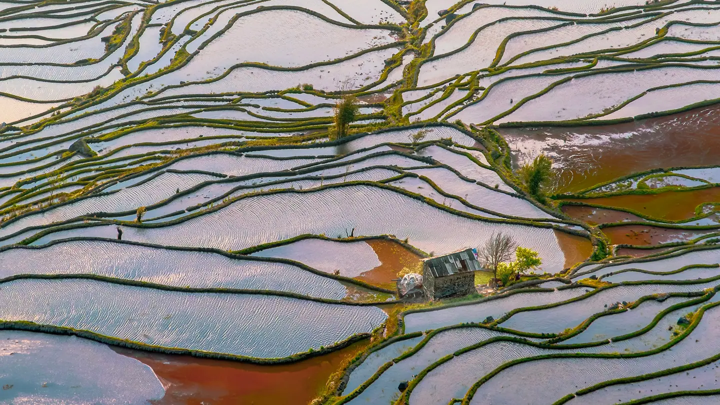 Terrazas inundadas de Yuanyang que reflejan el cielo del atardecer