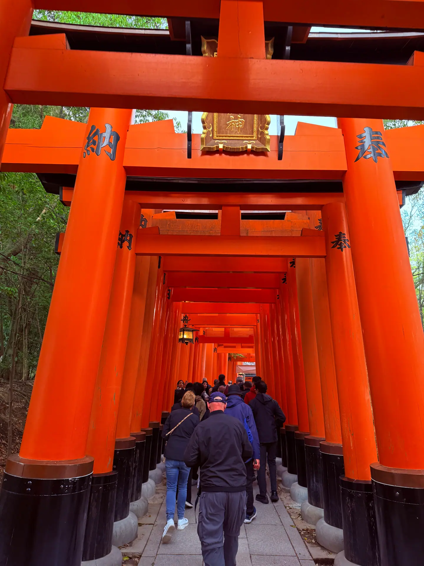 Visitantes recorriendo el túnel de torii bermellón de Senbon Torii en el santuario Fushimi Inari, Kioto