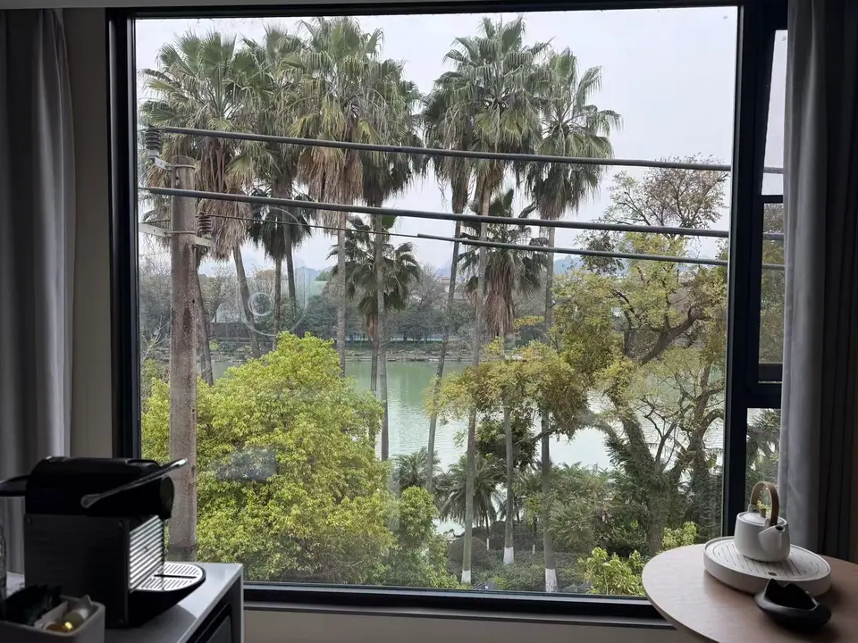Palmeras y río vistos desde la ventana de un hotel en Guilin